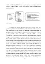 Research Papers 'Grāmatvedības uzskaites pilnveide datorvidē namu pārvaldīšanas uzņēmumā', 11.