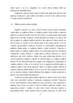 Research Papers 'Grāmatvedības uzskaites pilnveide datorvidē namu pārvaldīšanas uzņēmumā', 31.