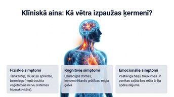 Presentations 'Uzbudinājuma un kavēšanas līdzsvars', 10.
