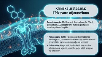 Presentations 'Uzbudinājuma un kavēšanas līdzsvars', 12.