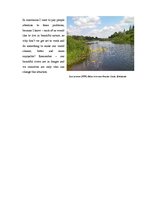 Essays 'Why is it Important to Improve Water Quality in Lielupe River Basin', 3.