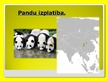Presentations 'Pandas', 4.
