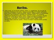 Presentations 'Pandas', 8.