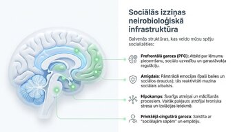 Presentations 'Sociālā mijiedarbība, smadzeņu plastiskums un garīgā veselība', 3.