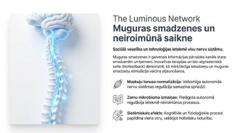 Presentations 'Sociālā mijiedarbība, smadzeņu plastiskums un garīgā veselība', 4.