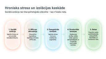 Presentations 'Sociālā mijiedarbība, smadzeņu plastiskums un garīgā veselība', 5.
