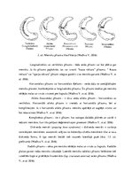 Research Papers 'Fizioterapija un ārstēšanas iespējas pēc ceļa locītavas menisku traumām ', 15.