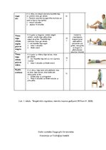 Research Papers 'Fizioterapija un ārstēšanas iespējas pēc ceļa locītavas menisku traumām ', 33.