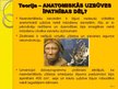 Presentations 'Neandertālietis', 14.