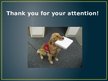 Presentations 'Service Dogs', 8.