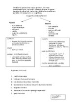 Summaries, Notes 'Pedosfēra (augsne)', 2.