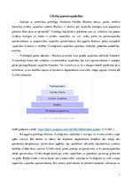 Research Papers 'Cilvēka pamatvajadzības', 1.