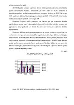 Term Papers 'Uzņēmuma "BLS". Finanšu analīze', 26.