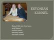 Presentations 'Latvian, Finnish, Estonian, Lithuanian, Russian Traditional Instruments', 21.