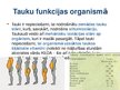 Presentations 'Tauki', 4.