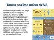 Presentations 'Tauki', 7.