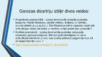 Presentations 'Dizartrija un terapijas iespējas', 9.