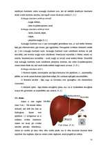 Research Papers 'Cilvēka gremošanas orgānu sistēma', 20.