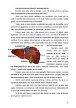 Research Papers 'Cilvēka gremošanas orgānu sistēma', 21.
