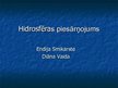 Presentations 'Hidrosfēras piesārņojums', 1.