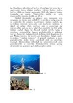 Research Papers 'Indijas okeāns', 3.