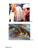 Research Papers 'Smēķēšanas kaitīgums', 23.