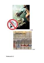 Research Papers 'Smēķēšanas kaitīgums', 24.