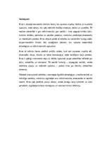 Essays 'Kino: māksla, sabiedrība un stāstu spēks', 5.