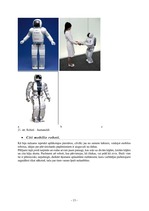 Research Papers 'Robotika un automatizācija', 13.
