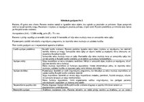 Practice Reports 'Māsu prakses dienasgrāmata', 4.