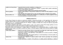 Practice Reports 'Māsu prakses dienasgrāmata', 5.