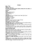 Summaries, Notes 'Jenoti', 8.