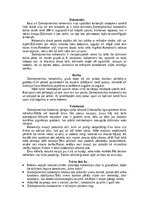 Summaries, Notes 'Jenoti', 14.