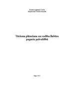 Research Papers 'Tūrisma plānošana un vadība Babītes pagasta pašvaldībā', 1.