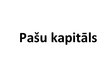 Presentations 'Pašu kapitāls', 1.