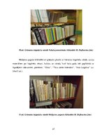 Research Papers 'Viļakas novada Medņevas pagasta
lingvistiskā ainava', 27.