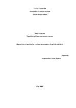 Research Papers 'Regresijas un korelācijas analīzes izmantošana tirgzinību pētīšanā', 1.