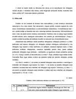Term Papers 'Dažādas pieejas vērtspapīru portfeļa veidošanai un pārvaldīšanai', 14.