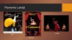 Presentations 'Flamenko', 11.