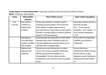 Research Papers 'Aprūpes plāns pacientam ar ceļu locītavu artrītu', 19.