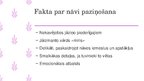 Presentations 'Komunikācija ar pacientu smagos gadījumos', 8.
