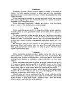 Summaries, Notes 'Dažādi stārķveidīgie', 10.