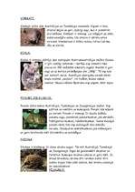 Summaries, Notes 'Austrālija, Freizera sala, ievērojamākie dzīvnieki un augi', 2.