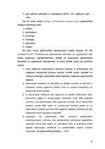 Term Papers 'Efektīvas kontroles organizēšana kapitālsabiedrībā', 56.
