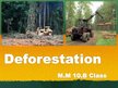 Presentations 'Deforestation', 1.