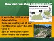 Presentations 'Deforestation', 9.