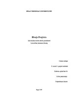 Research Papers 'Biroja projekts', 1.