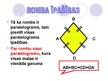 Presentations 'Rombs. Paralelograms', 2.
