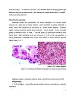 Research Papers 'Citomegalovīrusa infekcija jaundzimušajiem', 8.