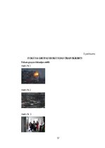 Term Papers 'Fotožurnālistikas estētika un ētika: Jevgēnija Maloļetkas darbības izpēte', 56.
